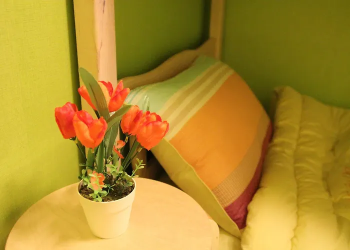 Dream Comfort